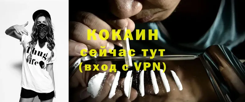 где продают   Андреаполь  Cocaine Перу 